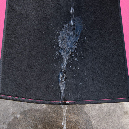 CAR PASS Rainbow Waterproof Universal Fit Faux Leather Car Carpet- Anti-Slip Nibbed Backing Floor Mats for SUV, Vans,Sedans,Trucks, Automotive Set of 4 for Women (Black with Red)